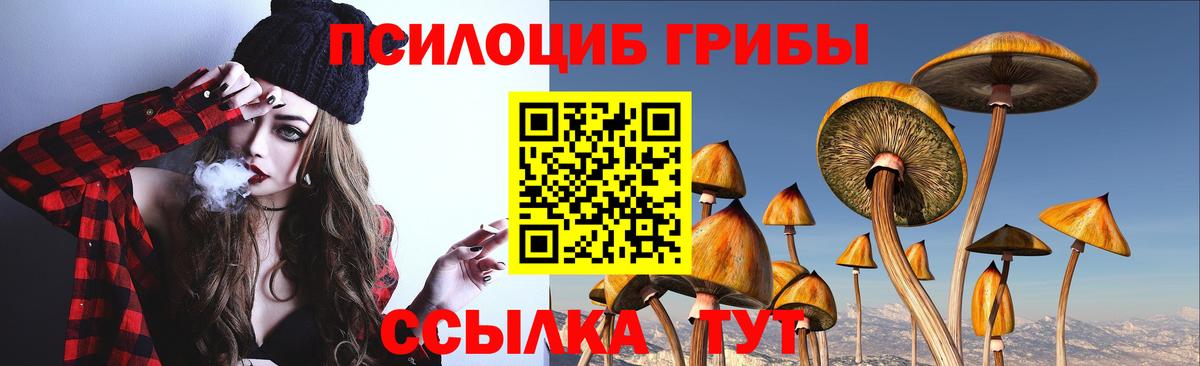 Галлюциногенные грибы Cubensis Карпинск